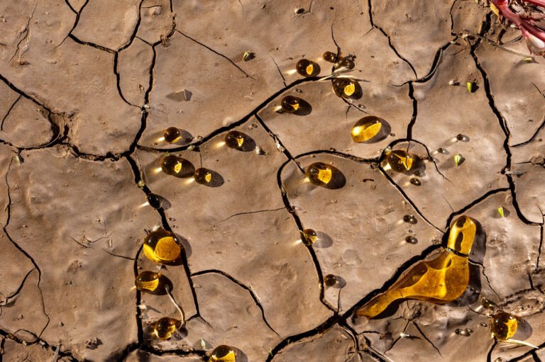 Resistencia poética