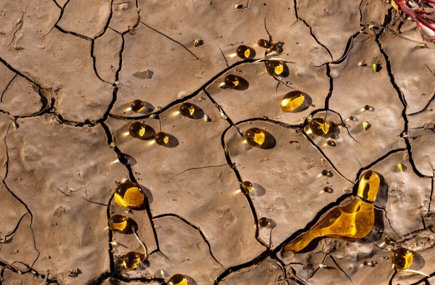 Resistencia poética