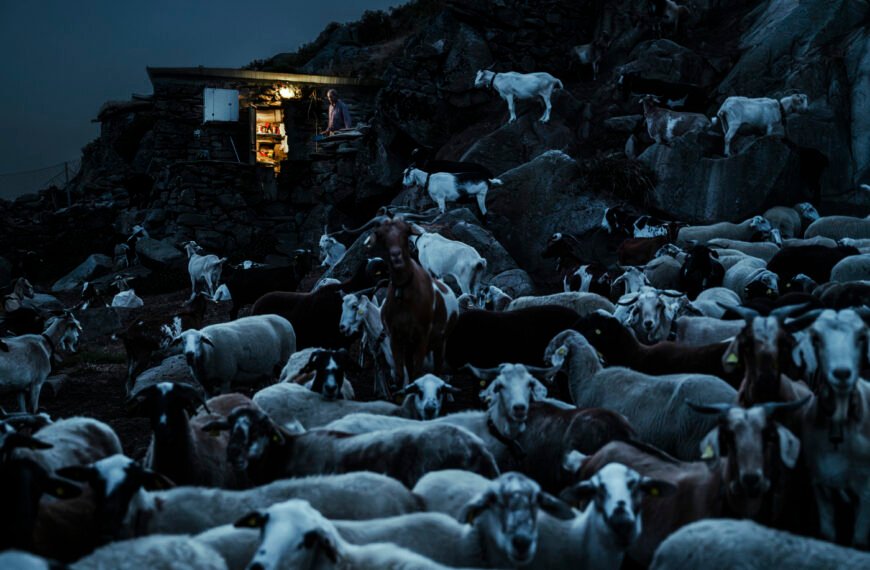 Demotanasia: la Galicia rural se apaga en silencio