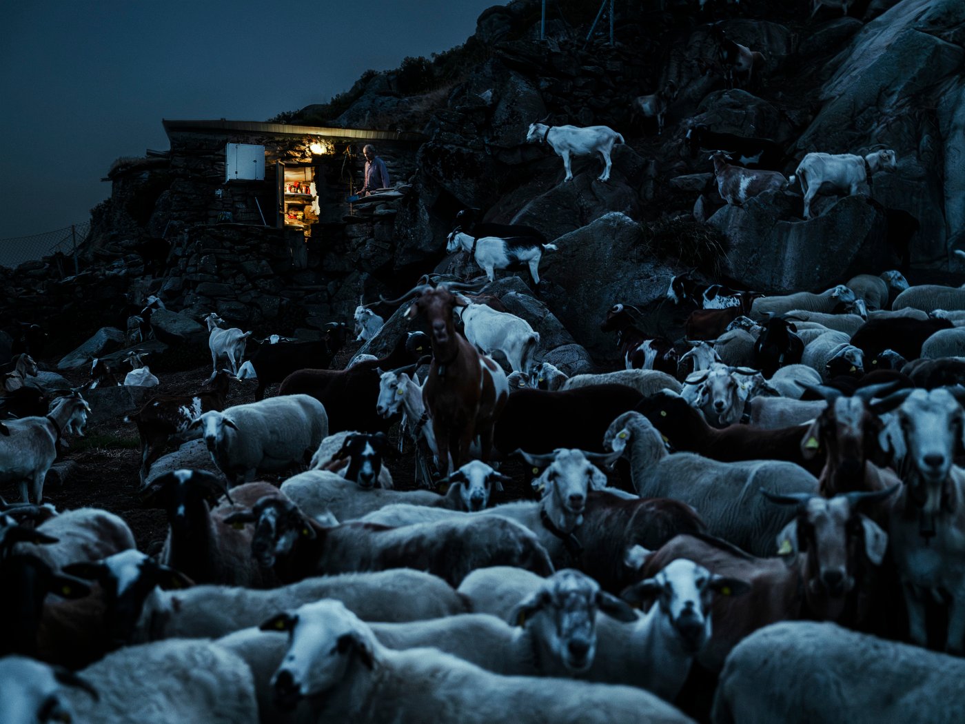 Demotanasia: la Galicia rural se apaga en silencio