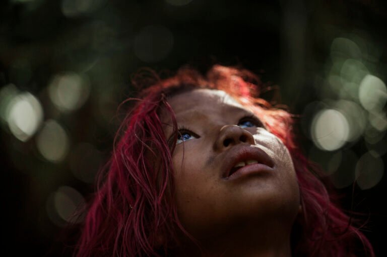 Ruinas forestales: memoria indígena en la megalópolis de São Paulo