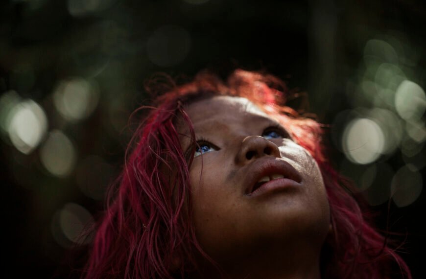 Ruinas forestales: memoria indígena en la megalópolis de São Paulo