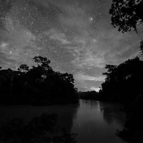 El Antropoceno como crisis de la reciprocidad