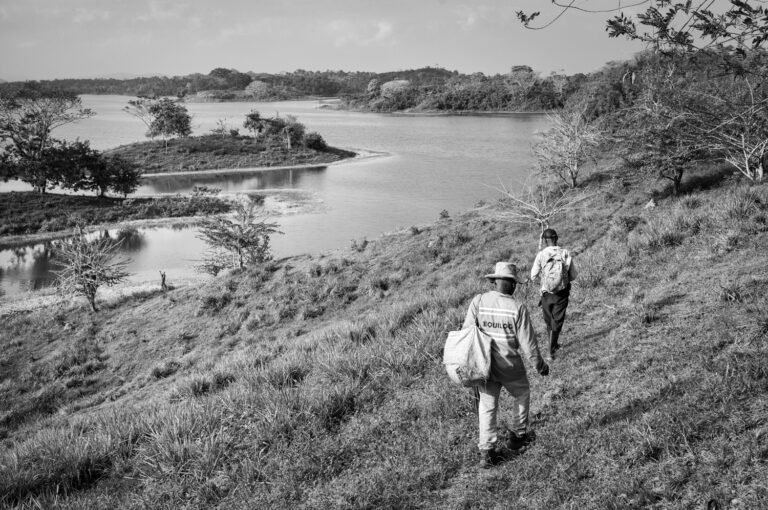 Palm Oil, Peace, and the Struggle for Land