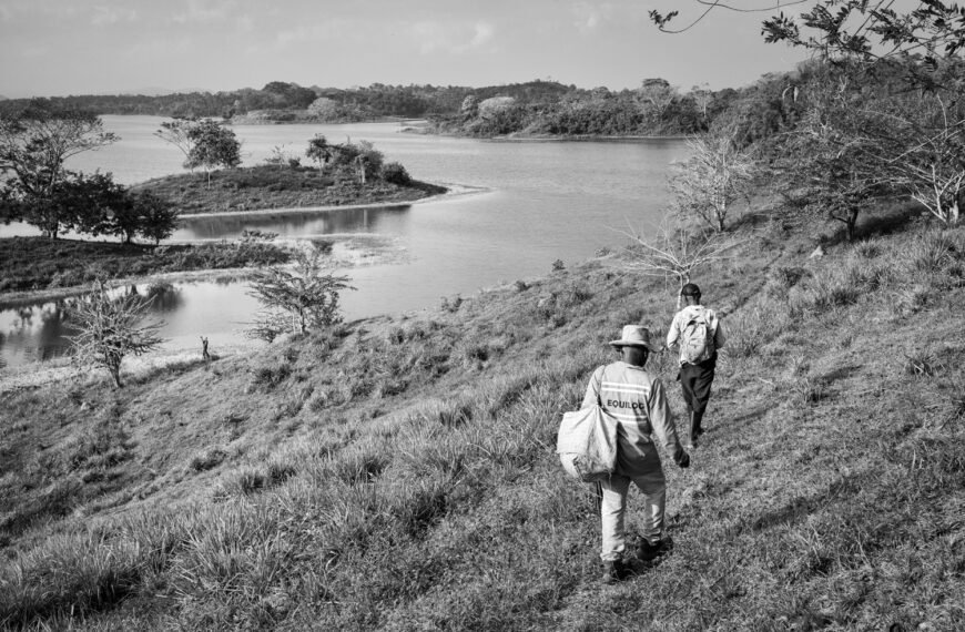 Palm Oil, Peace, and the Struggle for Land