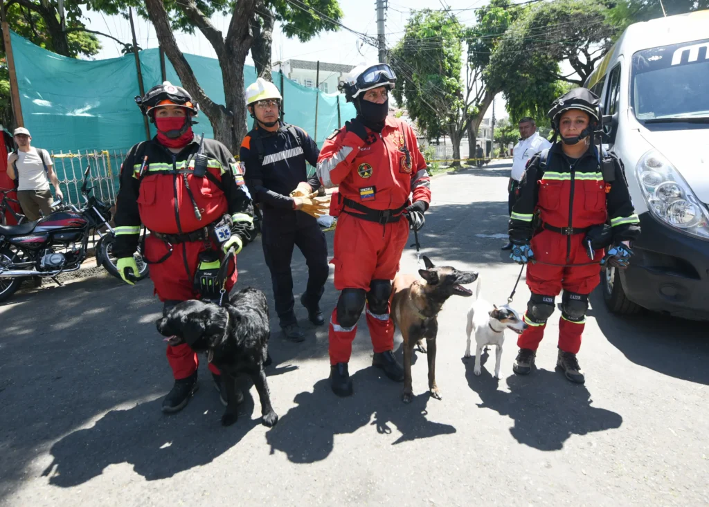Topos Aztecas preparan a su equipo canino para realizar su labor de rescate en el edificio Cantabria en Carrera 45 y calle 8b en Cali, Colombia, tras el terremoto de 7.4 grados. Foto: Alejandro Meléndez